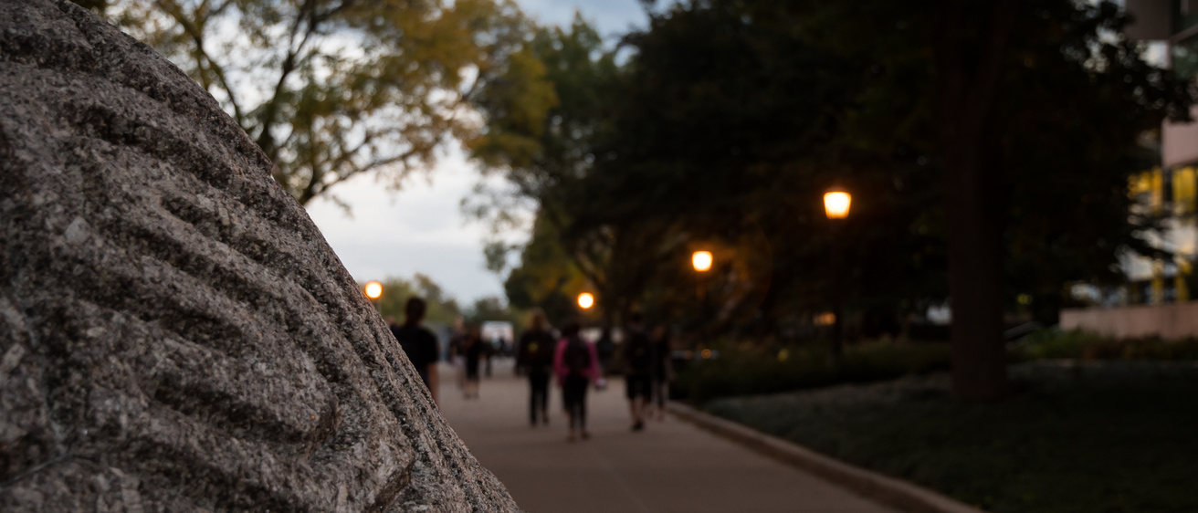 UI Campus at night